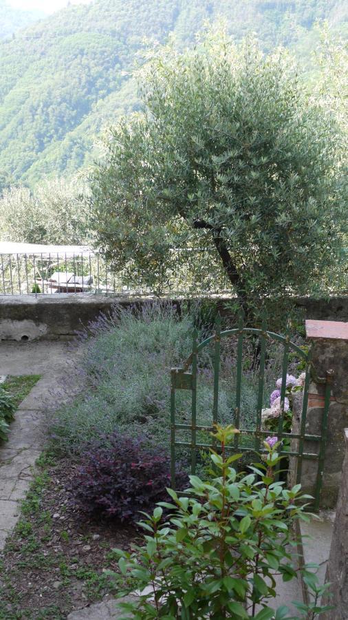 Piscina Con Vista Villa Bagni di Lucca Exterior foto